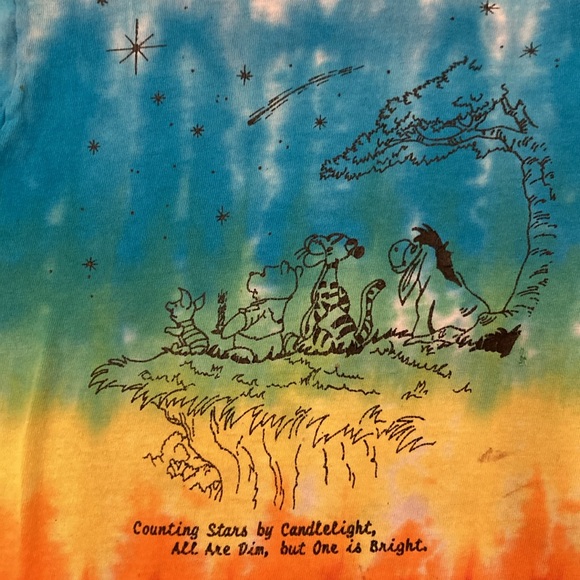 VNTG Grateful Dead Terrapin Station Winnie the Pooh Counting Stars Tie Dye 3T - Picture 2 of 4